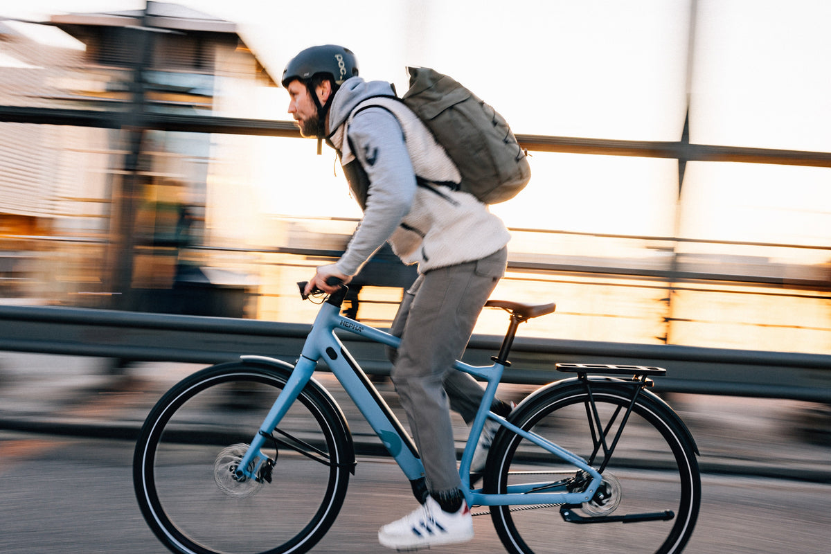 Urban-E-bike HEPHA E-Bike