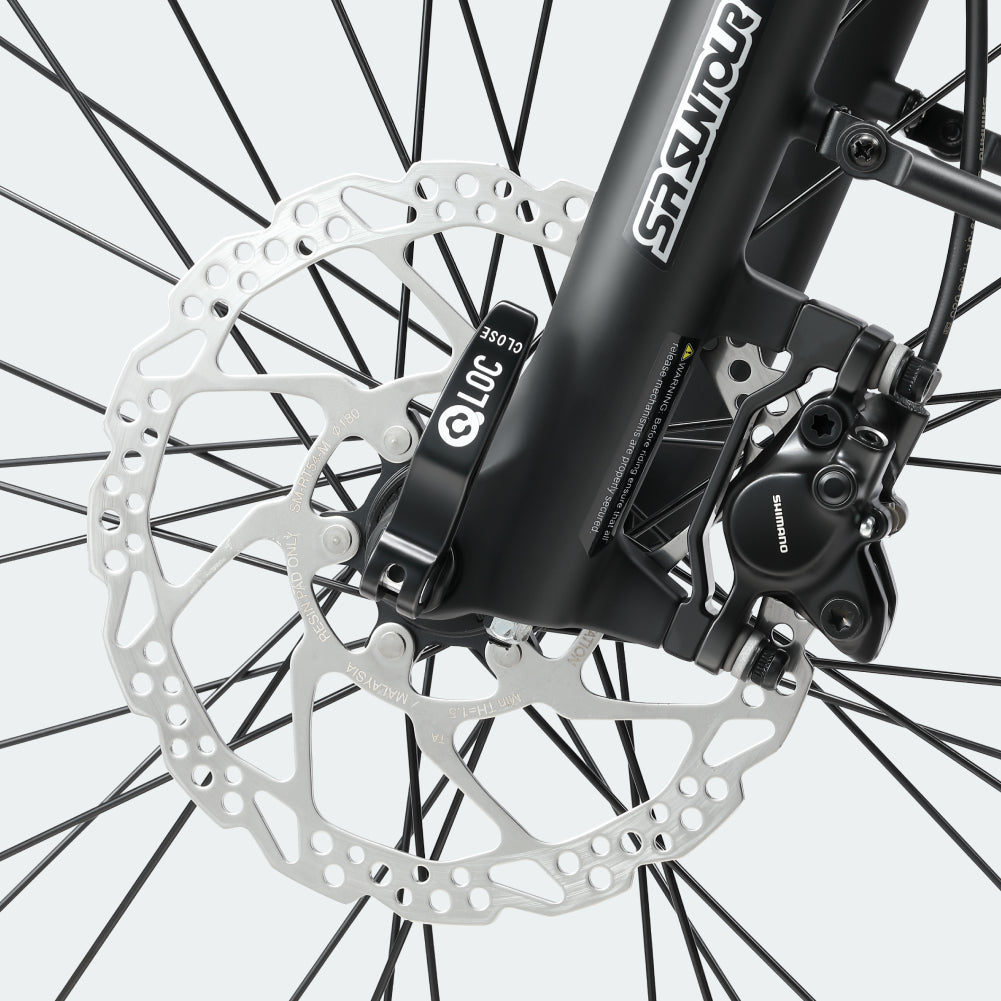 Hydraulic disc brakes