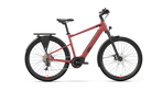 Trekking 8 Performance HEPHA E-Bike